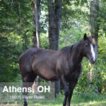 18805 River - Athens