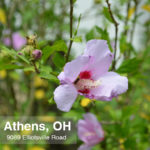 9089 Elliotsville - Athens