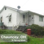 28 Spring - Chauncey