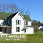 48 Mound - Chauncey
