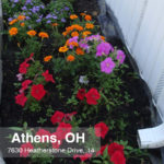 7600 Heatherstone, 14 - Athens